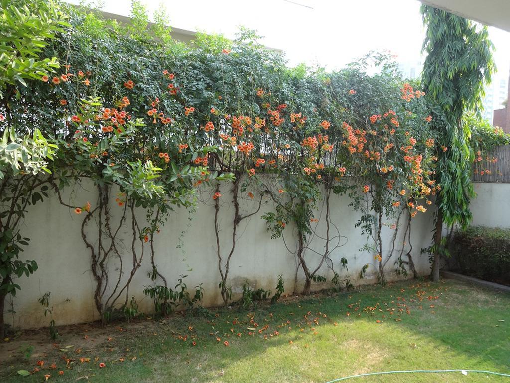 Cinnamon Homestay, Off Sohna Road Гургаон Екстериор снимка
